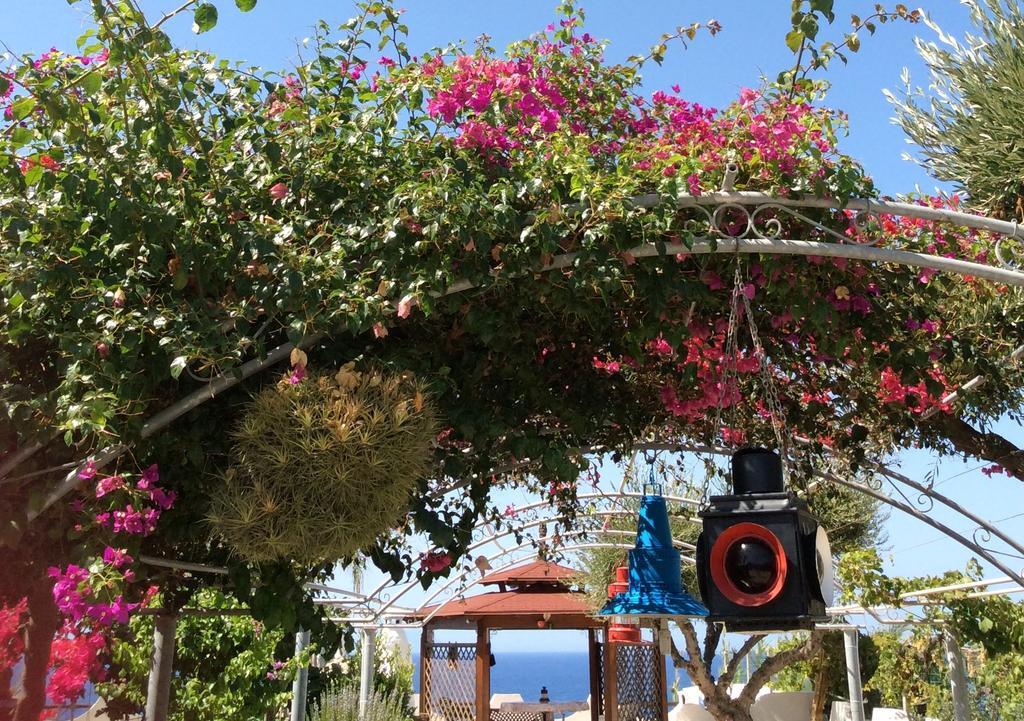Apartamento Residenza Stefanelli Capo Vaticano Exterior foto